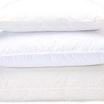 Luxury Duck Feather Cushion Pads – 18x18" with Cotton Cover - Pack of 1