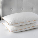 Luxury Goose Feather And Down Pillow (Pair)