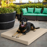 Large Dog Pet Bed Mat Water Resistant Removable Cover 5cm Thick Mattress - Beige