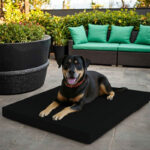 Large Dog Pet Bed Mat Water Resistant Removable Cover 5cm Thick Mattress - Black