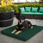 Large Dog Pet Bed Mat Water Resistant Removable Cover 5cm Thick Mattress - Green