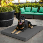 Large Dog Pet Bed Mat Water Resistant Removable Cover 5cm Thick Mattress - Grey