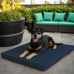 Large Dog Pet Bed Mat Water Resistant Removable Cover 5cm Thick Mattress - Navy