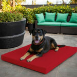 Large Dog Pet Bed Mat Water Resistant Removable Cover 5cm Thick Mattress - Red